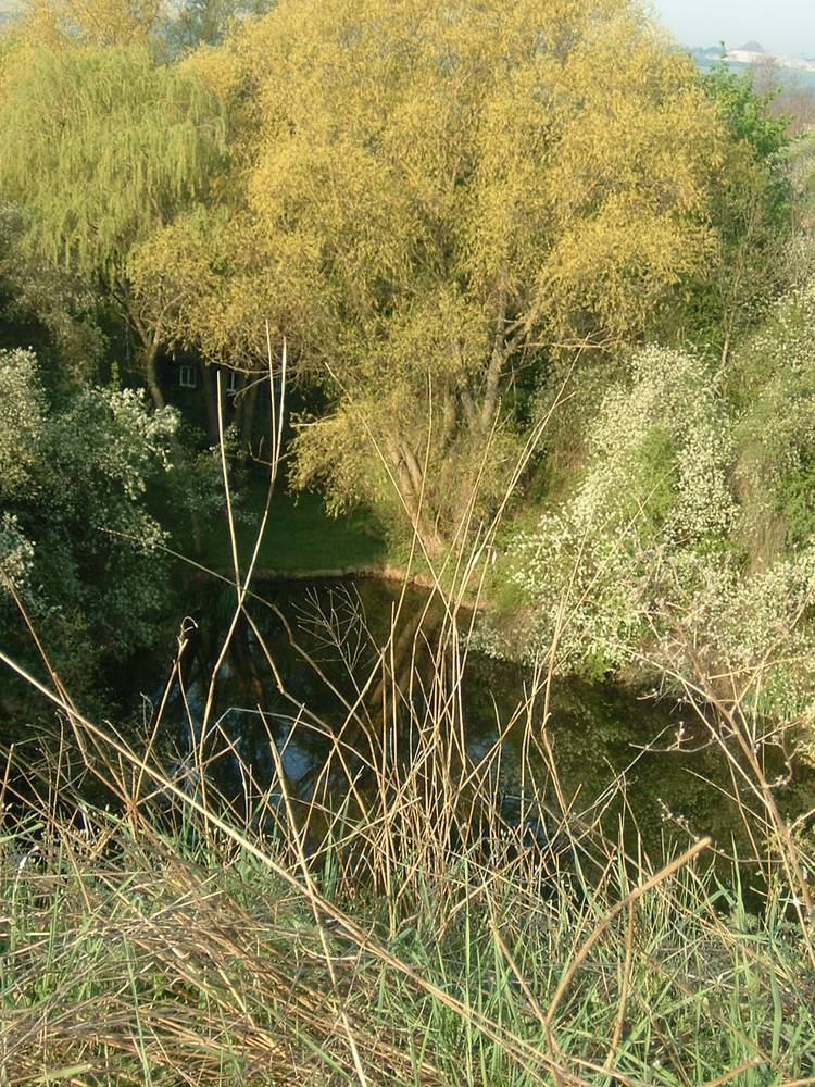 DSCF0008.JPG