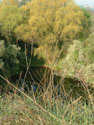 DSCF0008.JPG